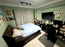 Blk 528 Jelapang Road (Bukit Panjang), HDB Executive #543966721